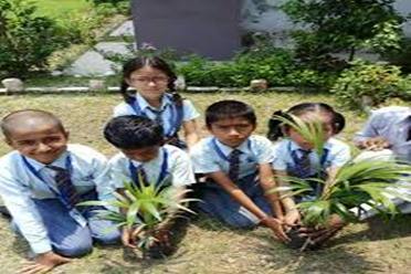 Plantation Drive